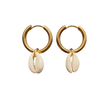 Chunky Shell Hoops - Guld